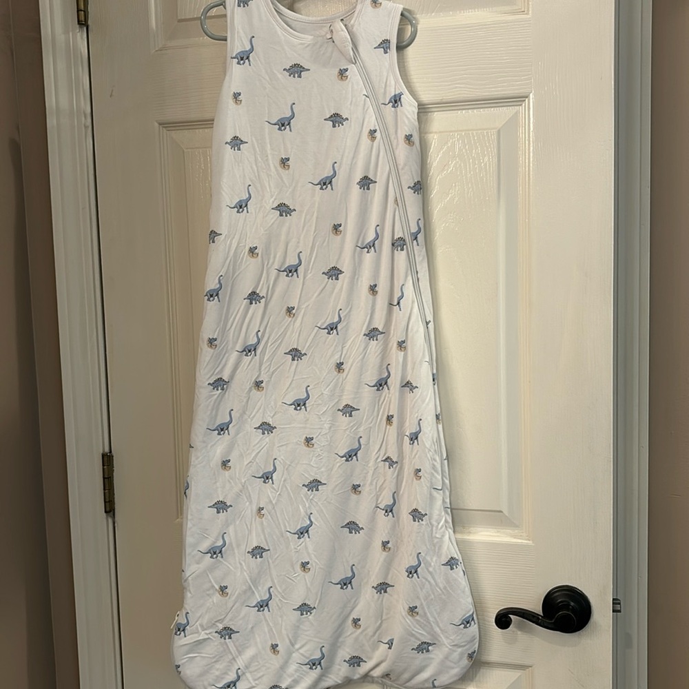 Kyte Baby Sleep Sack Blue Dinosaurs